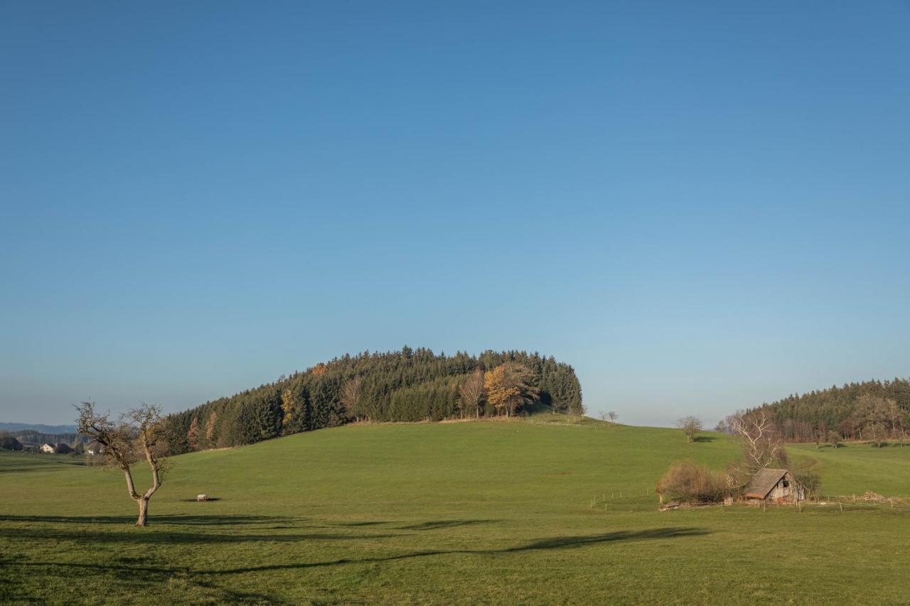 Ferienhof Sauter Friedrichshafen Neukirch  Buitenkant foto